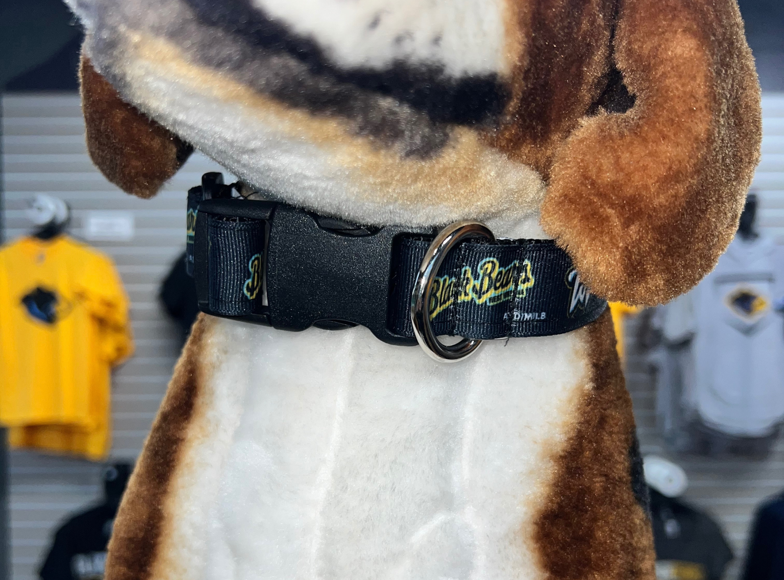 West Virginia Black Bears Dog Collar-2