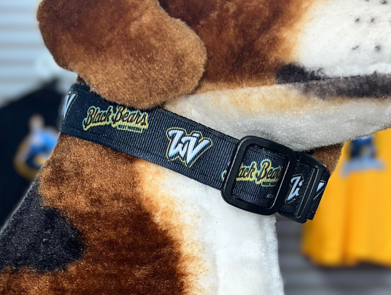 West Virginia Black Bears Dog Collar-0
