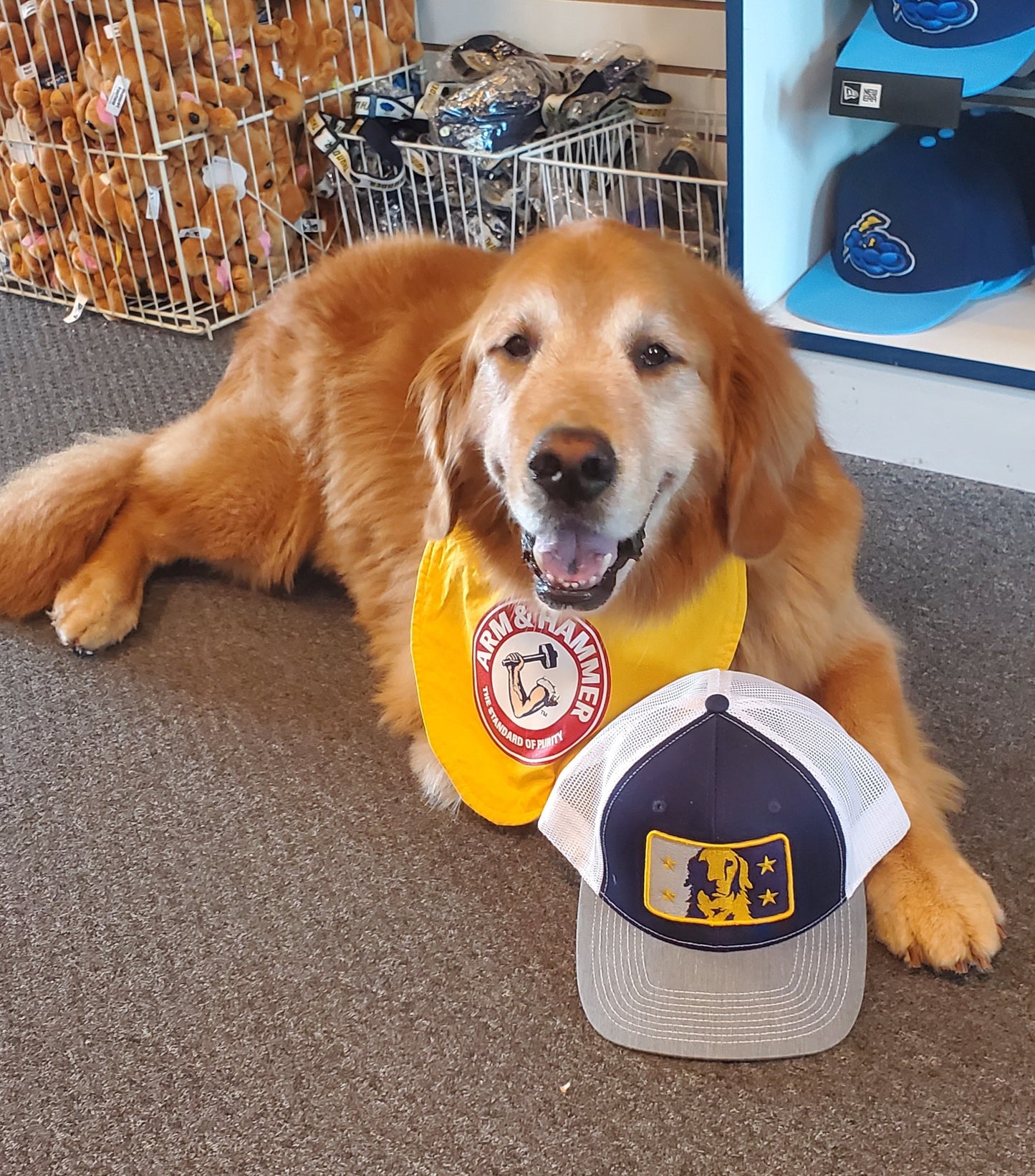 Batdog Rookie Snapback Cap