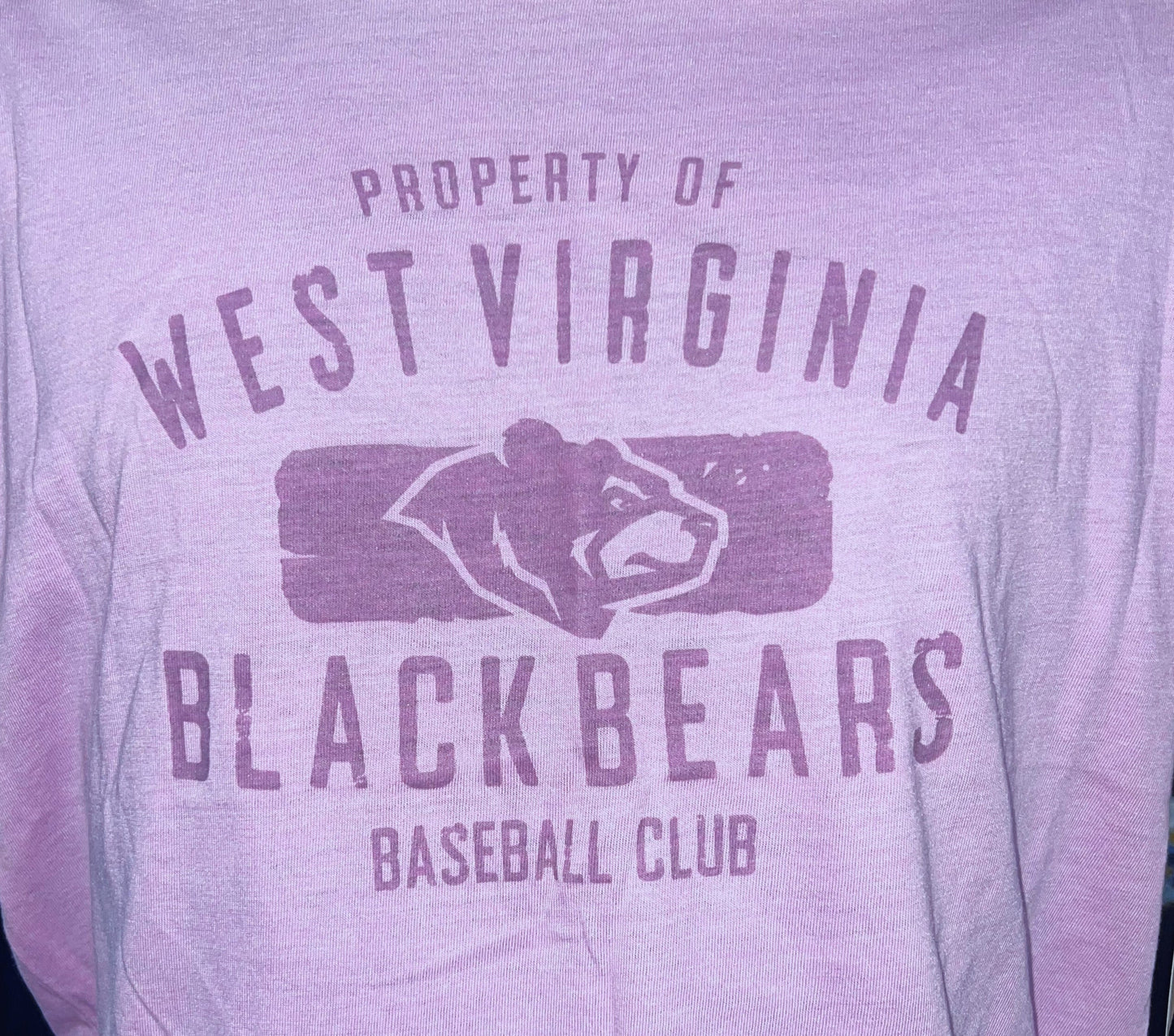 West Virginia Black Bears Youth Purple Buddy Tee