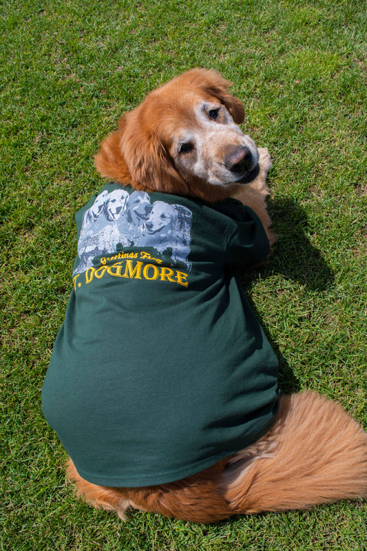 Mount Dogmore Shirt-1