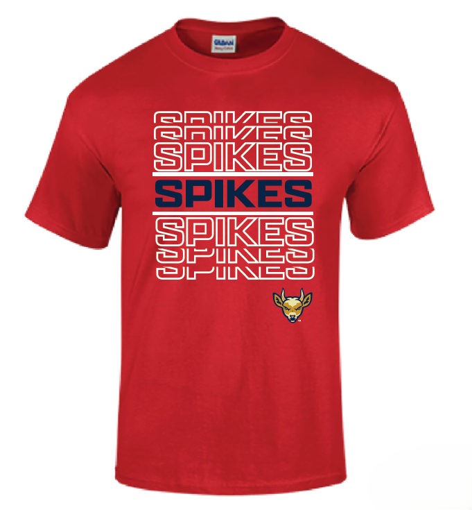 State College Spikes ND2544 T-Shirt