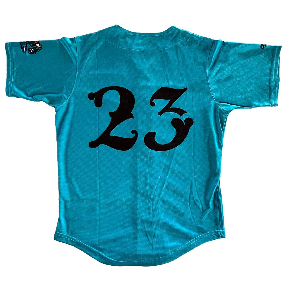 Spire City Ghost Hounds Teal Replica Jersey #23