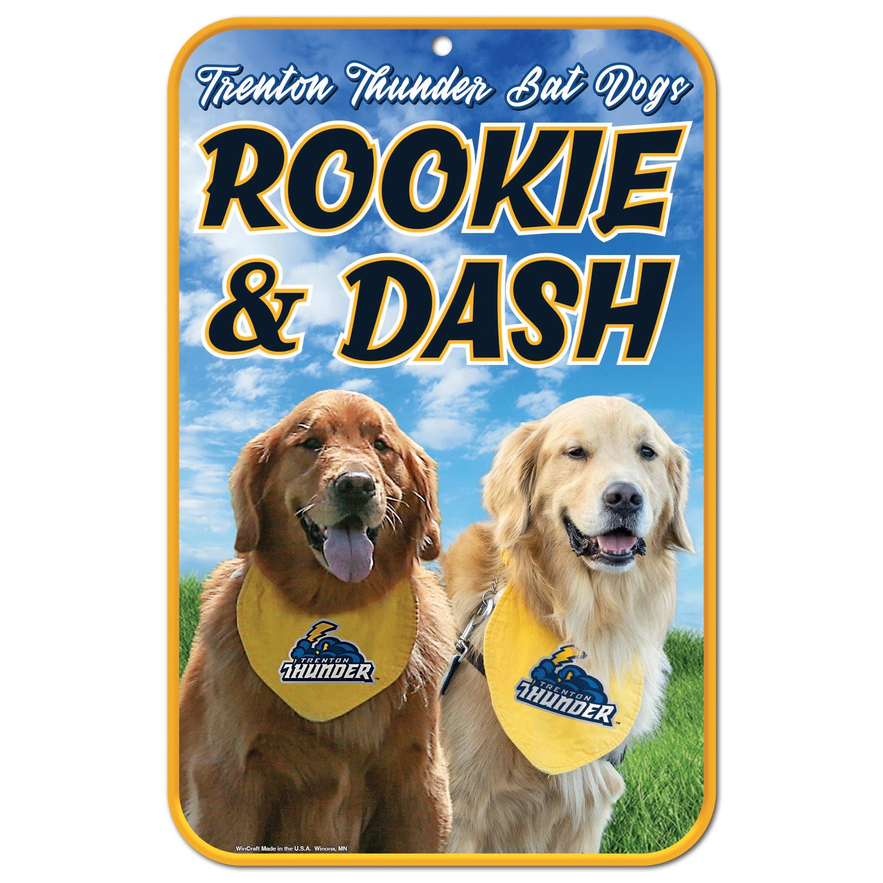 Rookie & Dash Wall Sign-0