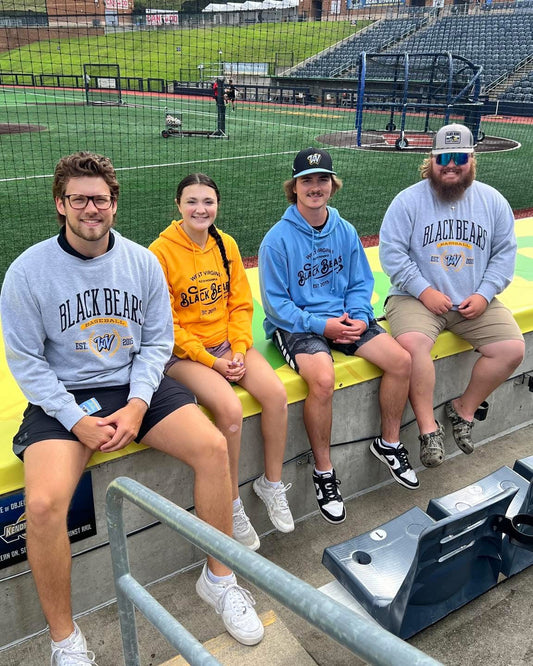 West Virginia Black Bears Wild & Wonderful Gold Hoodie-2