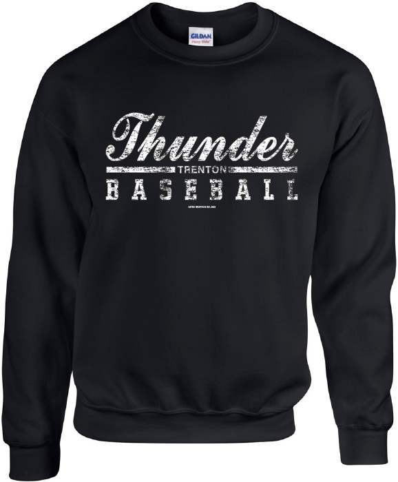  LOVEHOLIC Trenton Thunder Baseball Teams Men's Activewear  Raglan T Shirt Black : Sports & Outdoors