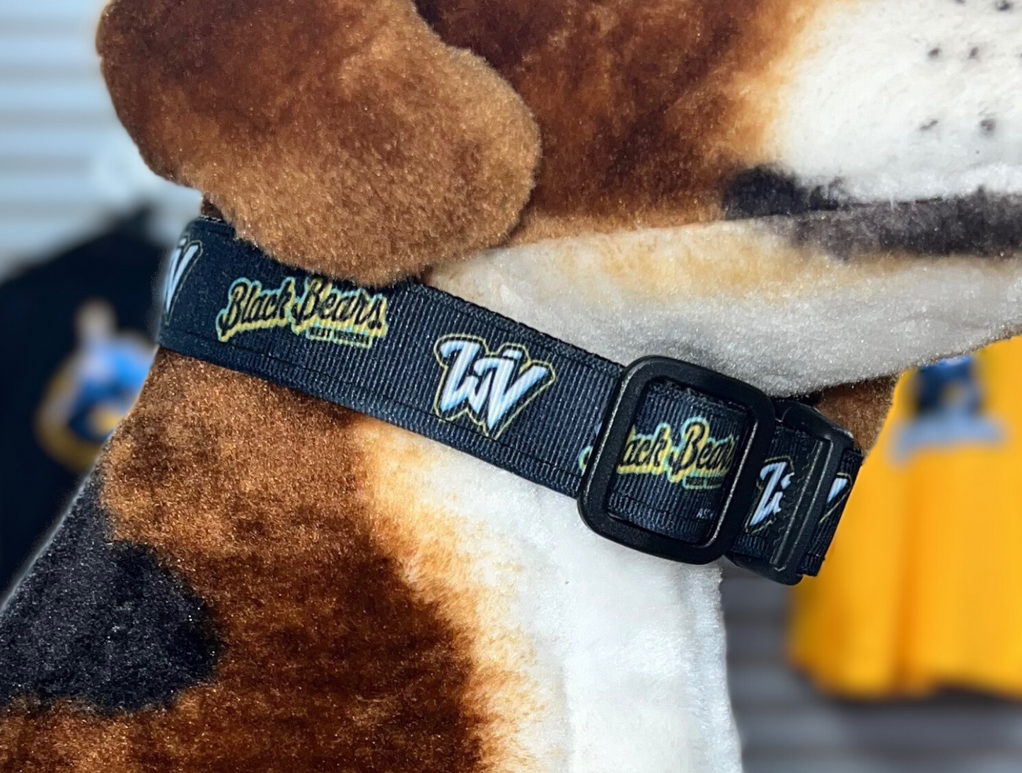 West Virginia Black Bears Dog Collar