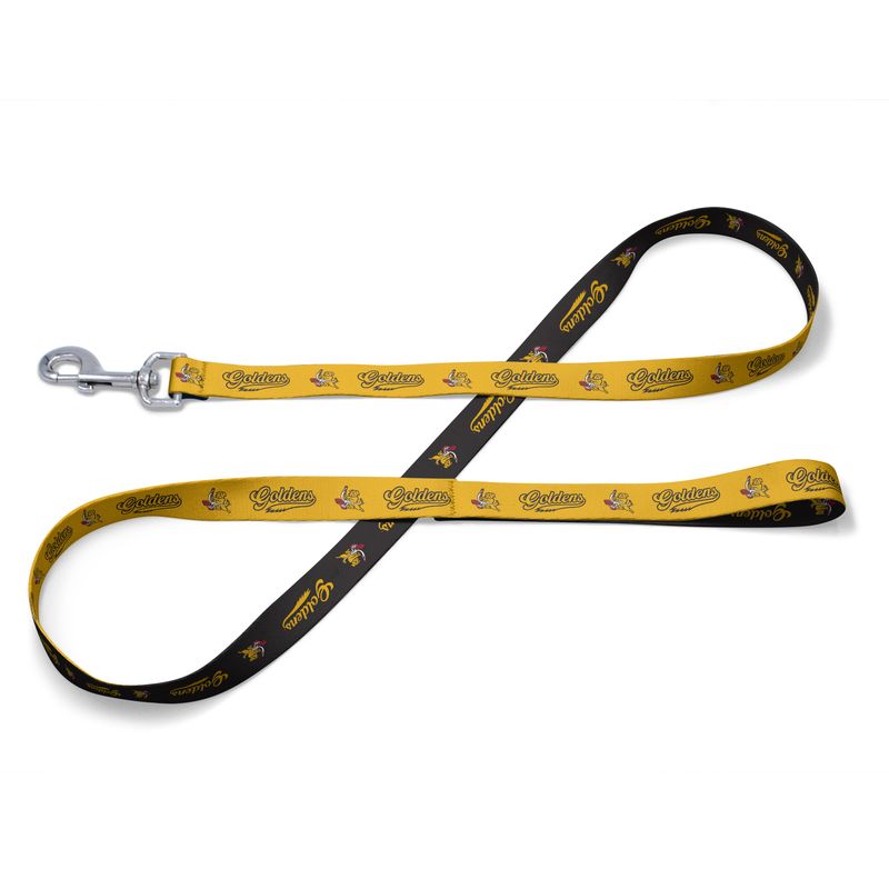 Trenton Goldens Dog Leash