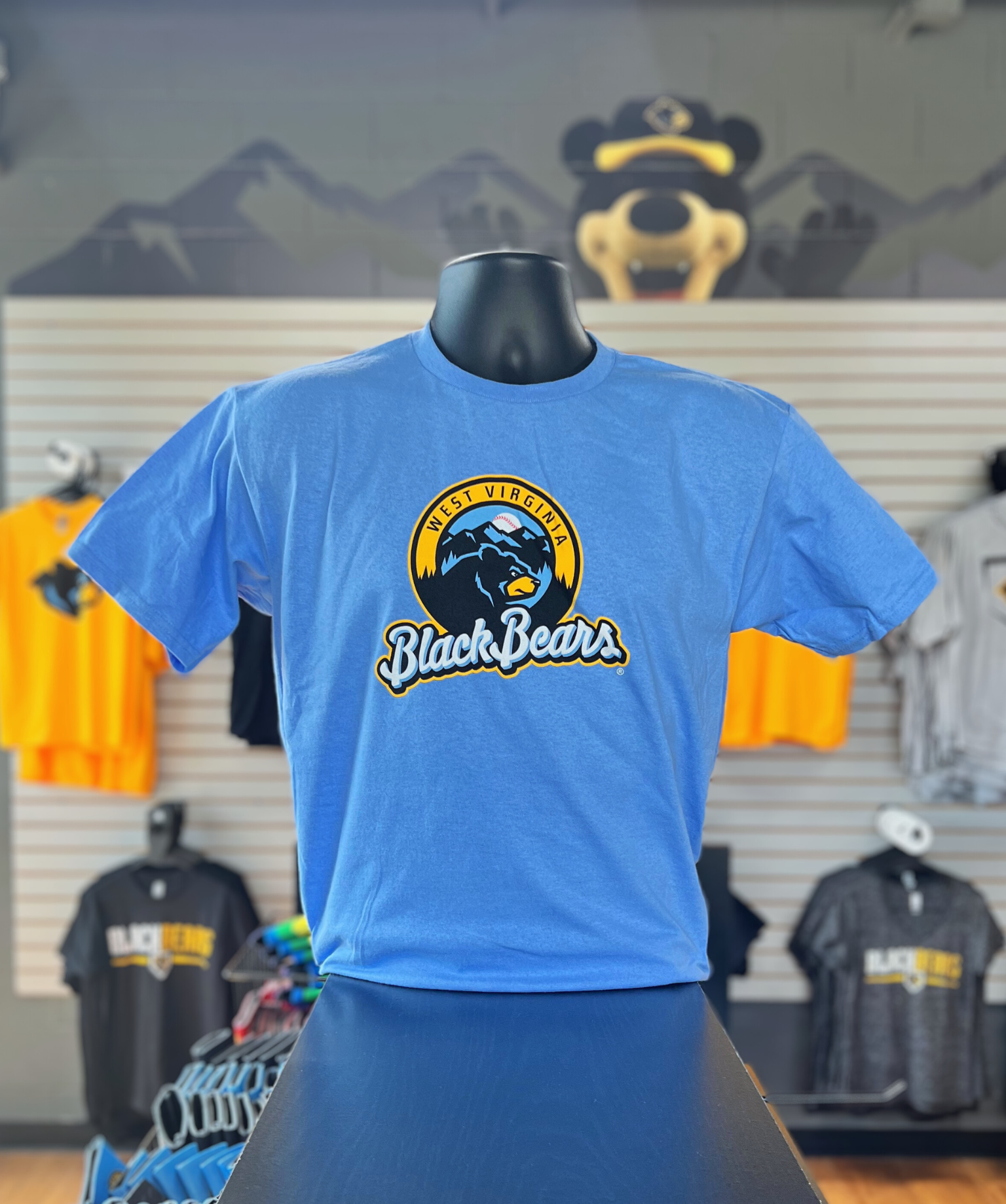 West Virginia Black Bears Youth Carolina Blue T-Shirt-0