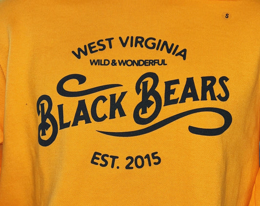 West Virginia Black Bears Wild & Wonderful Gold Hoodie-1