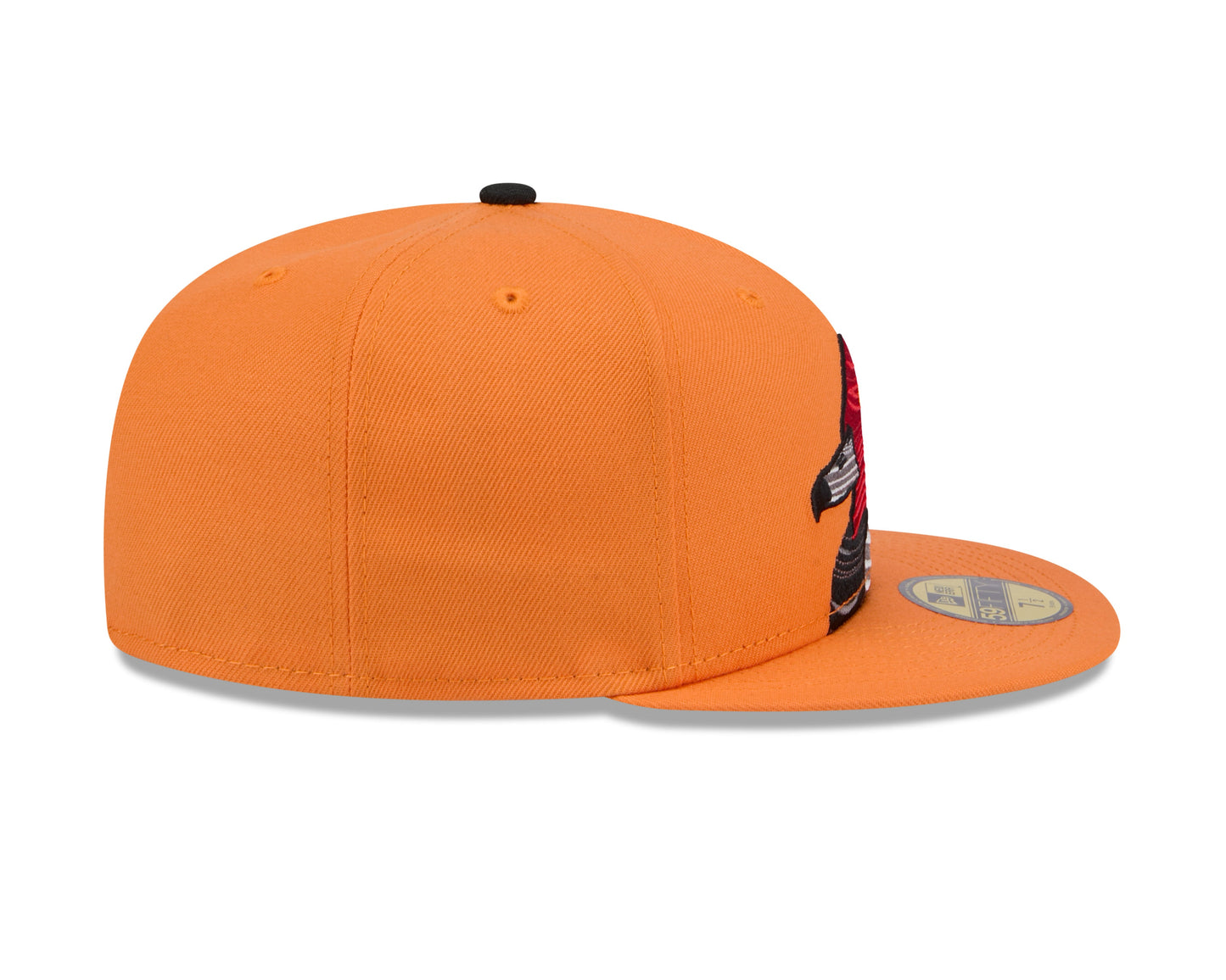 Aberdeen IronBirds Chesapeake Decoy 2024 New Era 59FIFTY Fitted Cap