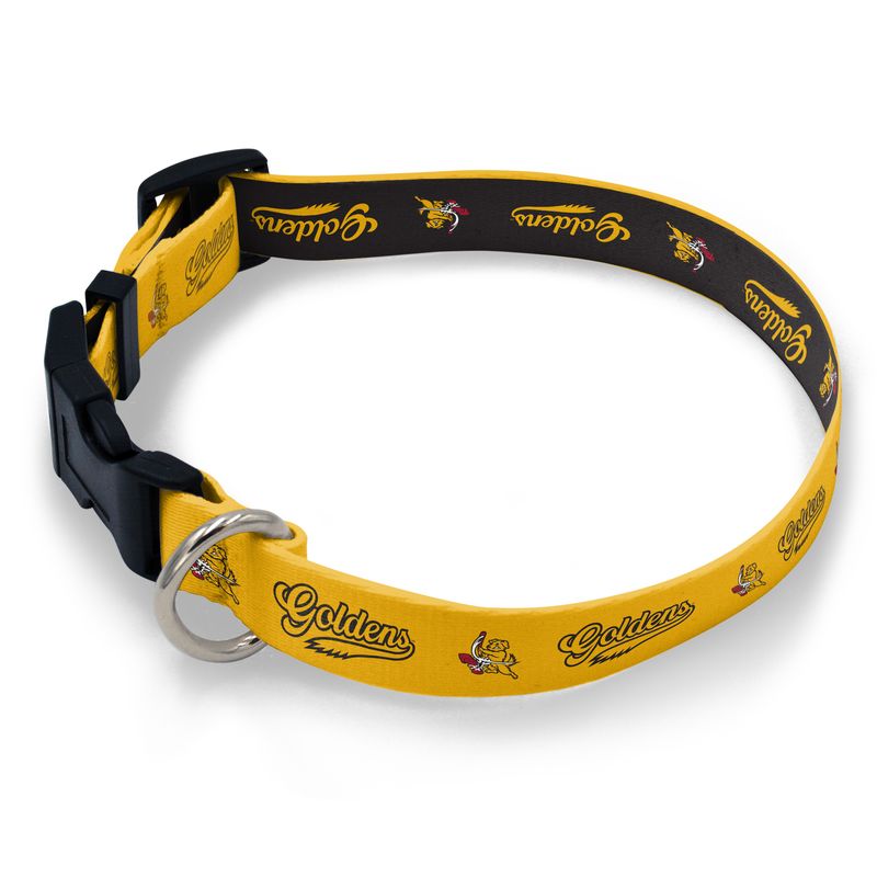 Trenton Goldens Dog Collar