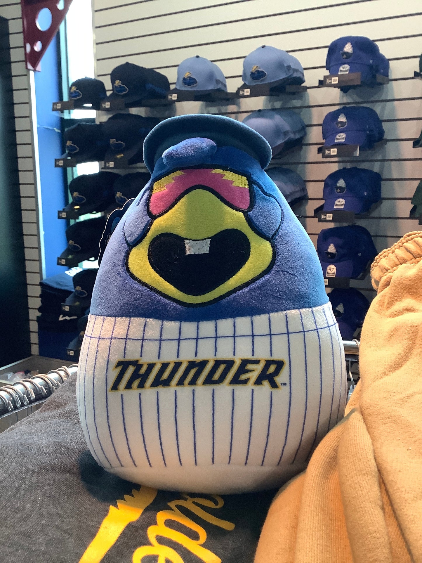 Boomer Squish Pillow