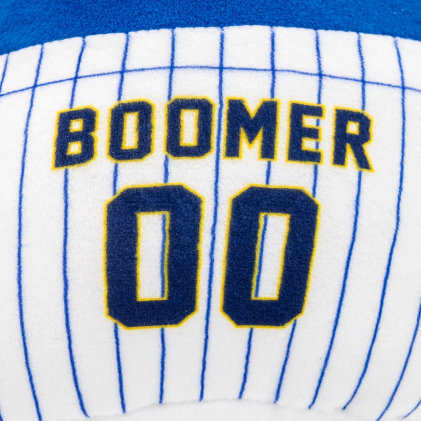 Boomer Squish Pillow