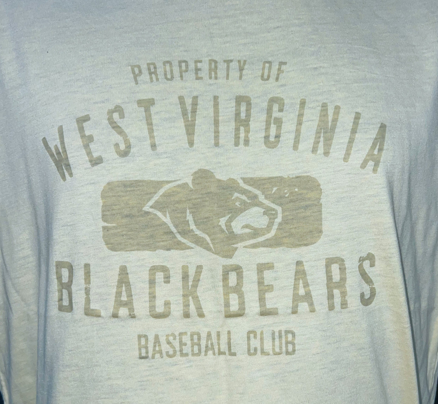 West Virginia Black Bears Youth Yellow Buddy Tee