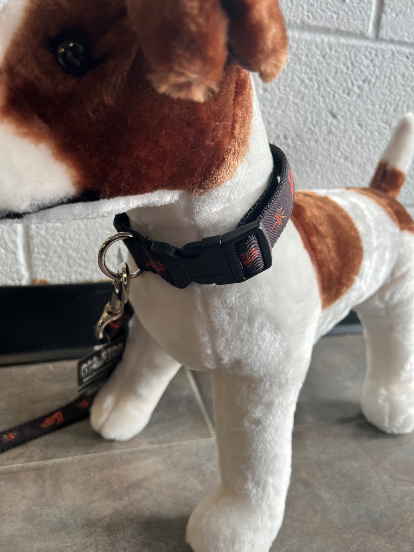 Frederick Keys Pet Collar