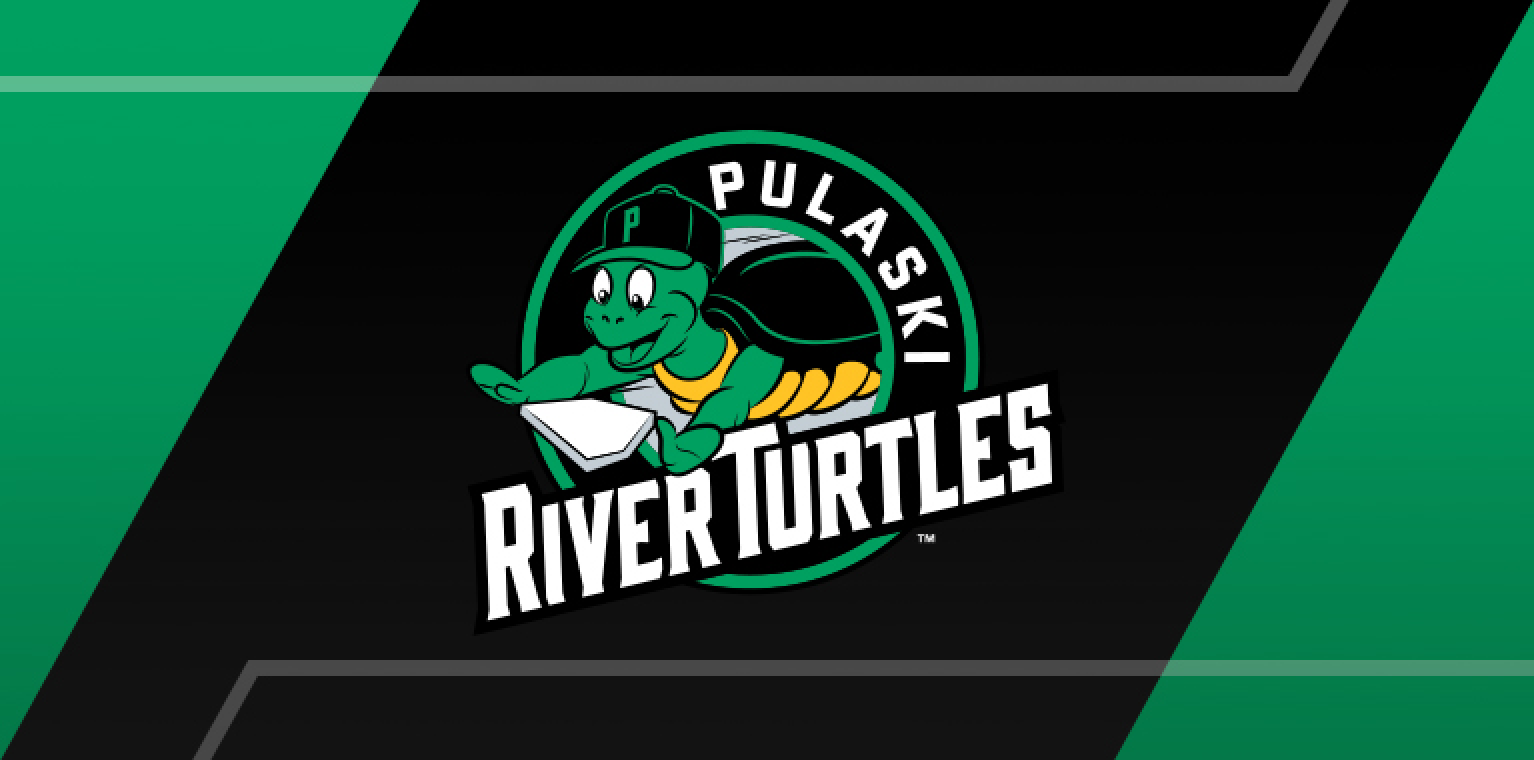 pulaski river turtles-image