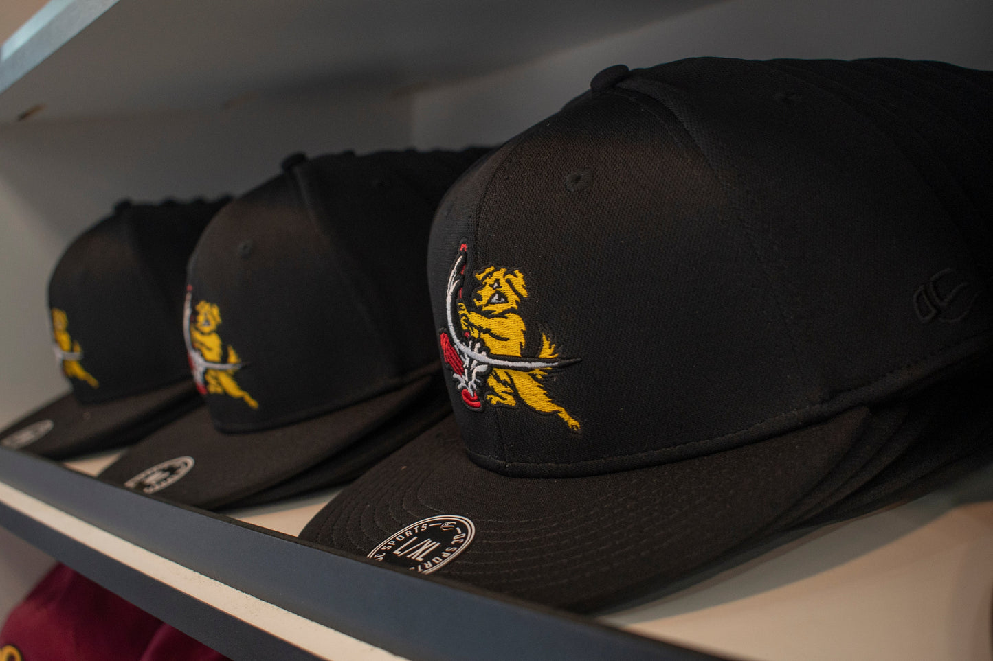 Trenton Goldens On-Field Flex Fit Cap