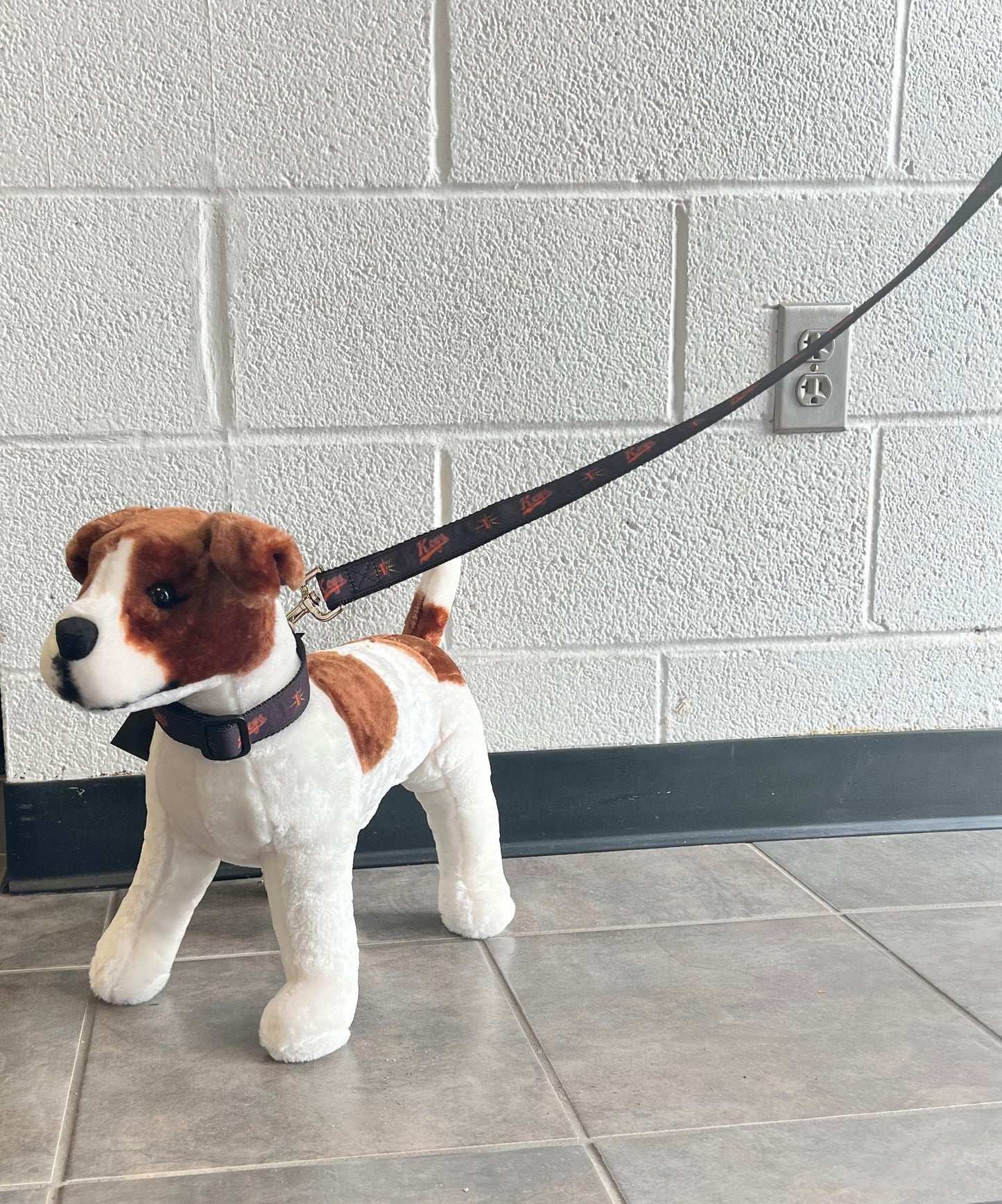 Frederick Keys Pet Collar