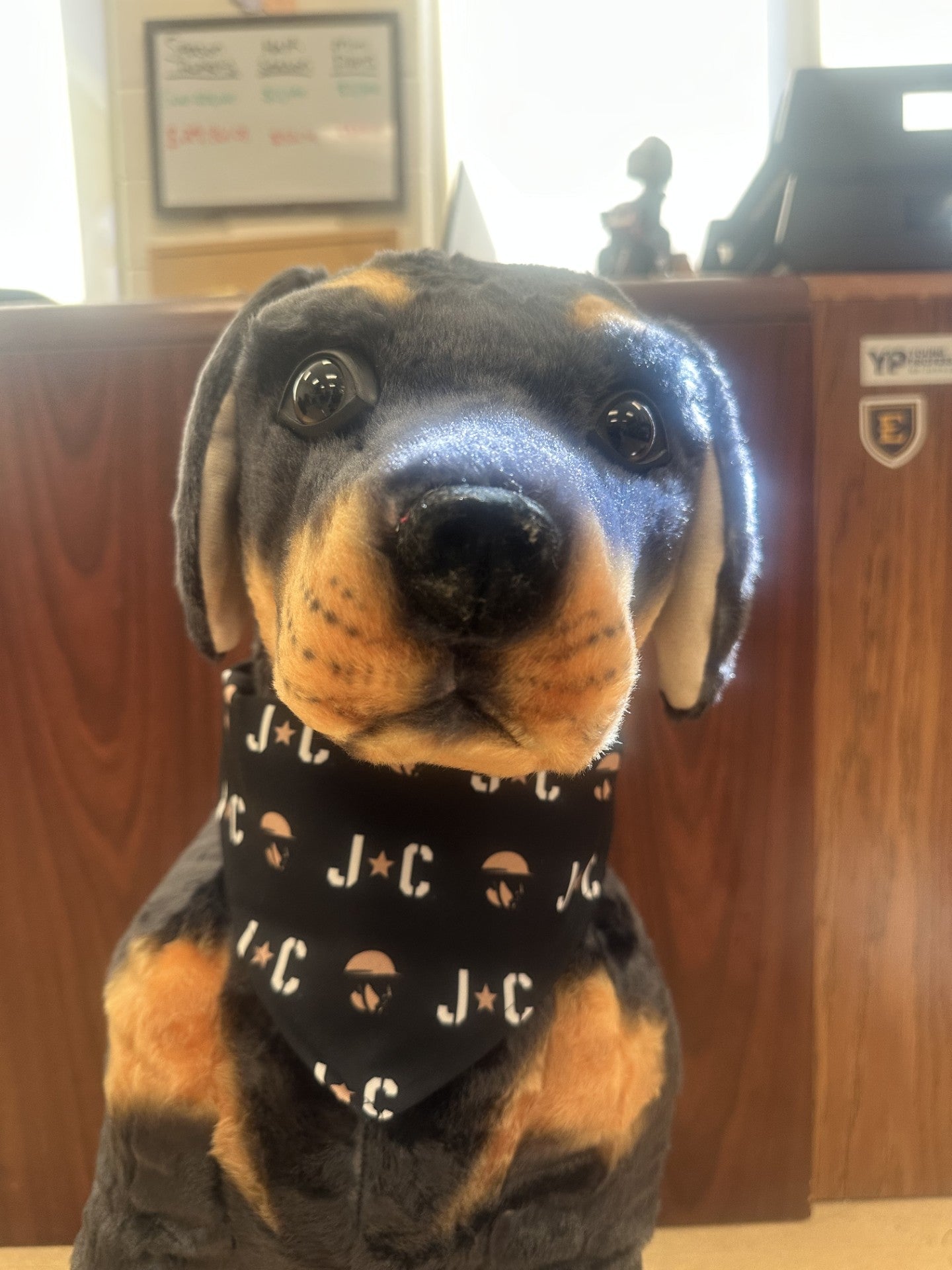 Johnson City Doughboys Dog Bandana