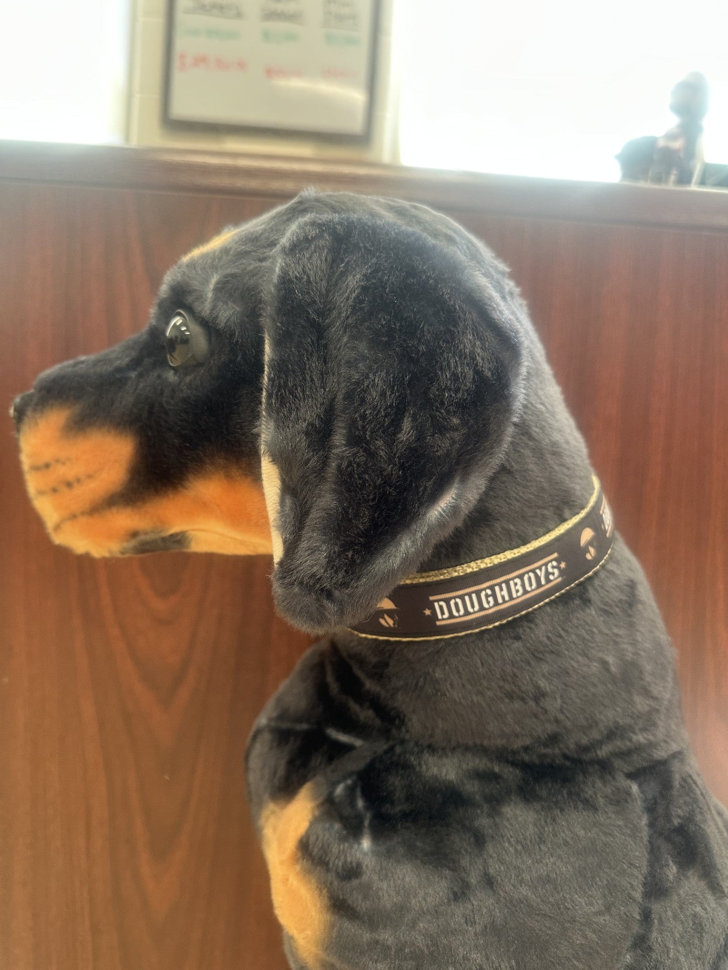 Johnson City Doughboys Dog Collar