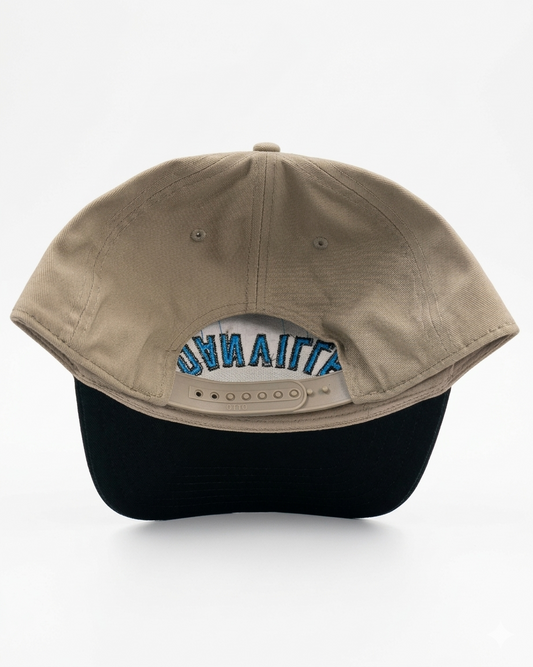 Upside Down "Danville" Hat-3