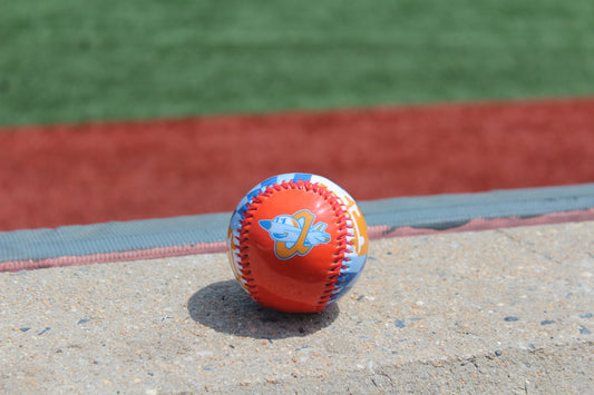Aberdeen IronBirds- Maryland Pride Baseball-0
