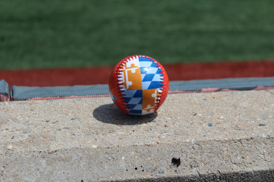 Aberdeen IronBirds- Maryland Pride Baseball-1