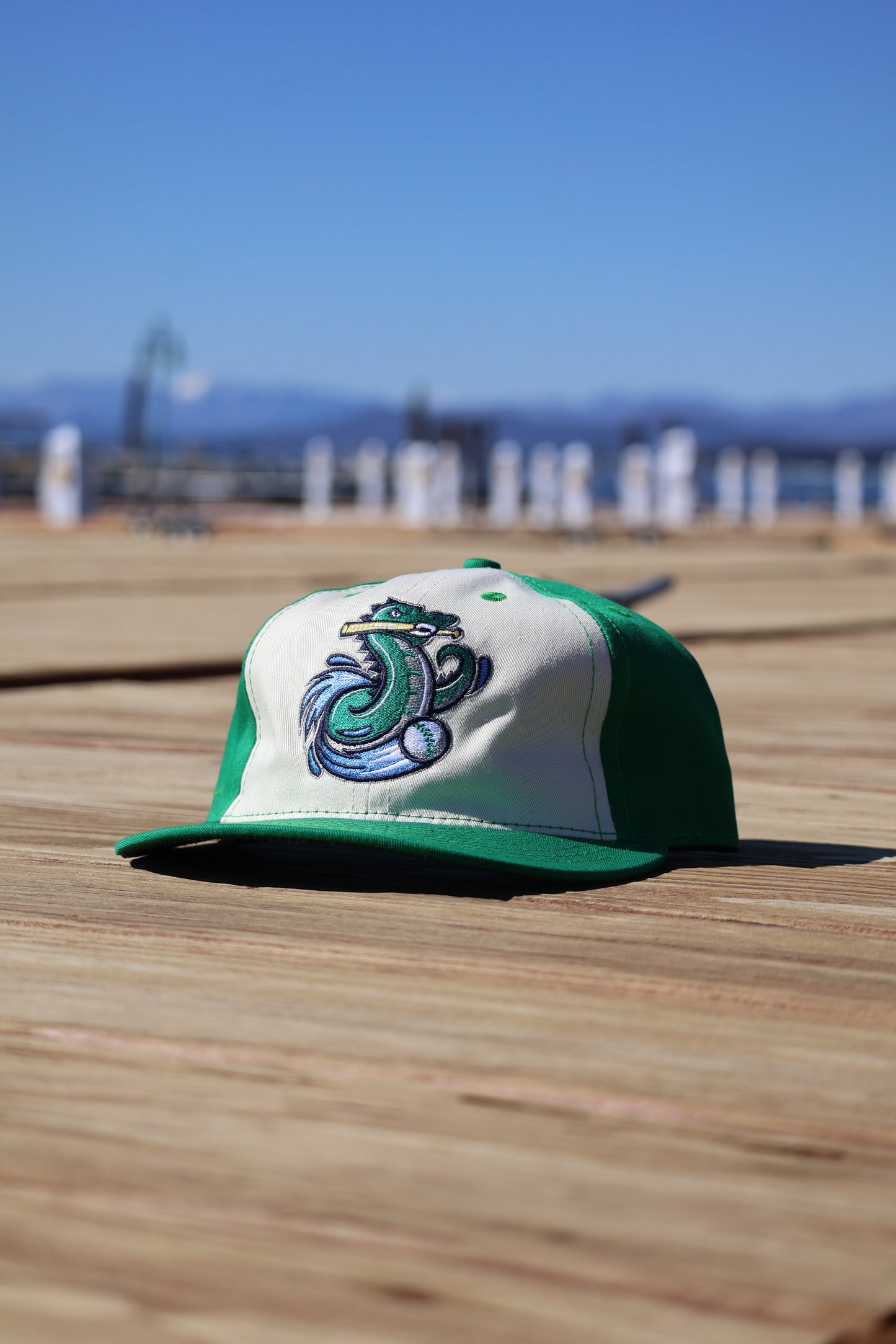 Vintage Vermont Lake Monsters Cap- Cotton