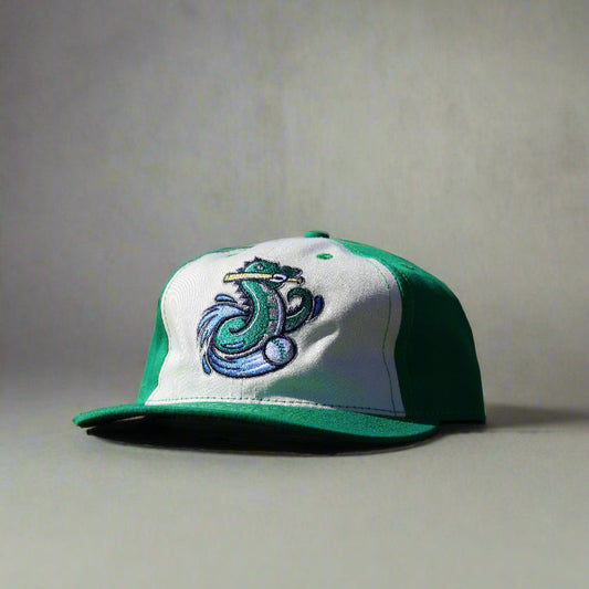 Vintage Vermont Lake Monsters Cap- Cotton-0