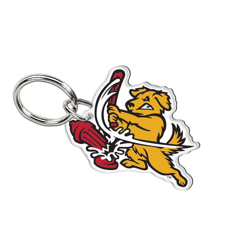 Trenton Goldens Acrylic Keychain