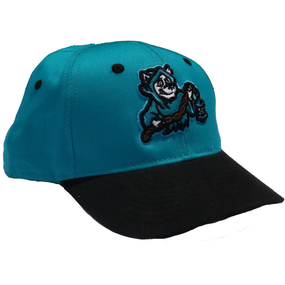 Spire City Ghost Hounds Black/Teal Youth Adjustable Hat-1