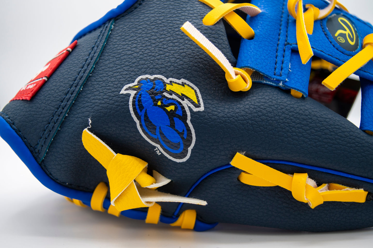 Youth Rawlings Catching Baseball Glove