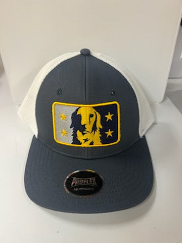 Slate and White Rookie Snapback