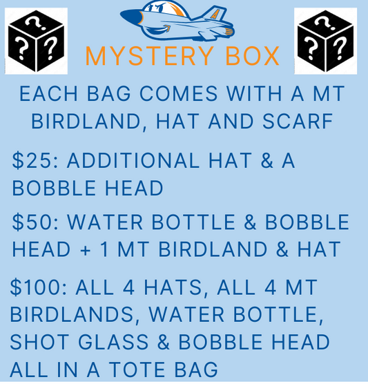 Mystery Bags-1