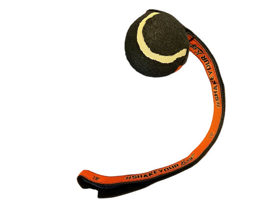 Tennis Ball Toy-1