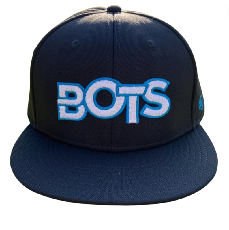 Otterbots BOTS Alternate Fitted Cap-0